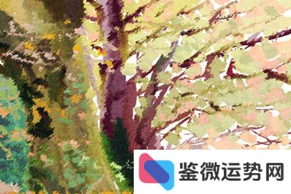 陈冠希