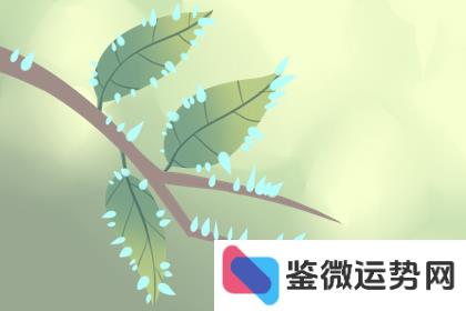 天秤座