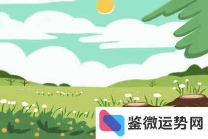 独立自主,却又懂得示弱