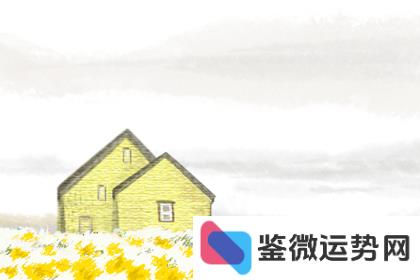 生命灵数5相关图片