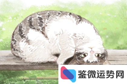 双子座女生如何表现对一个人有好感? 双子座女生如何表现对一个人有好感?