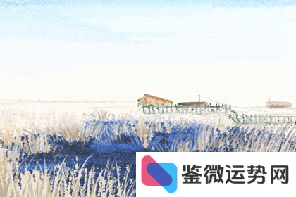 双子座何人可克?三大劫数何解? 双子座何人可克?三大劫数何解?