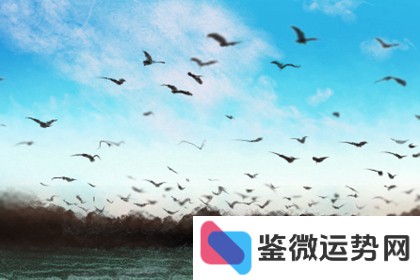 为何不可继续探询这些星座的情感过往? 为何不可继续探询这些星座的情感过往?