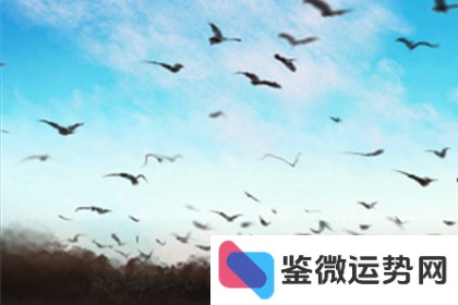 农历星座速查:正月十七属哪个星座? 农历星座速查:正月十七属哪个星座?