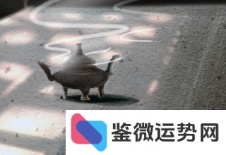 不会给关系面子,被冒犯就敢直接怼的星座是哪些? 不会给关系面子,被冒犯就敢直接怼的星座是哪些?
