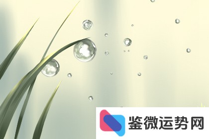 12月19日出生的人:他们的生日与性格有何关联? 12月19日出生的人:他们的生日与性格有何关联?