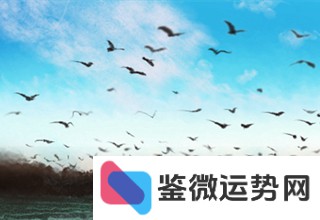八十八星座之谜:望远镜座,星座神话何在? 八十八星座之谜:望远镜座,星座神话何在?